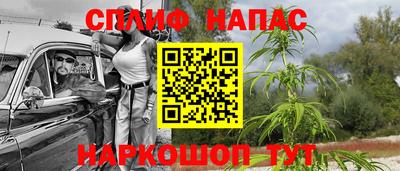 герыч Кингисепп