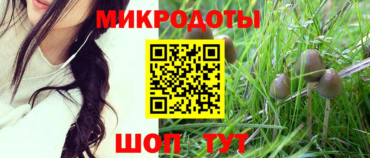 Псилоцибиновые грибы Psilocybine cubensis Обнинск