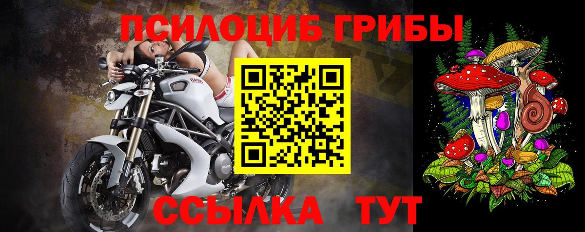 Псилоцибиновые грибы ЛСД  Псилоцибиновые грибы GOLDEN TEACHER  Обнинск 