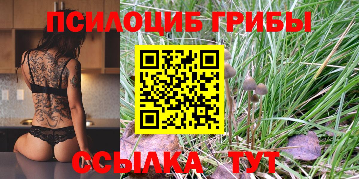 Обнинск  Галлюциногенные грибы Psilocybe  Вход с VPN  Галлюциногенные грибы мицелий 