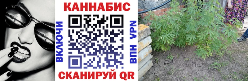 закладка  Обнинск  Шишки марихуана THC 21% 